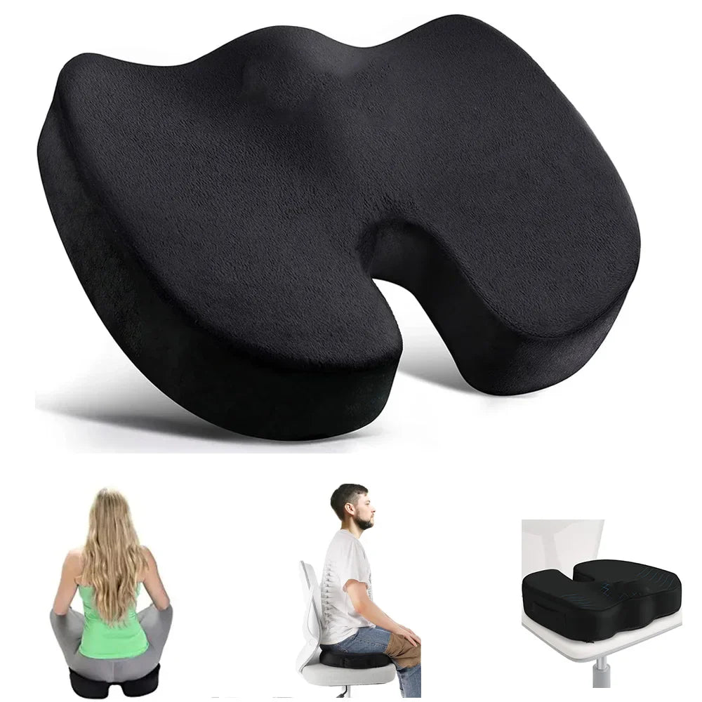 ASSISES ERGONOMIQUE